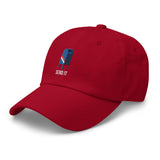 Beta Mail (DAD HAT)