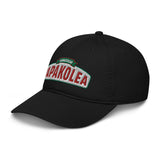 Better Recognize (DAD HAT)