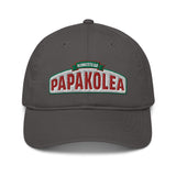 Better Recognize (DAD HAT)