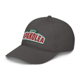 Better Recognize (DAD HAT)