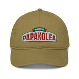 Better Recognize (DAD HAT)