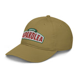Better Recognize (DAD HAT)