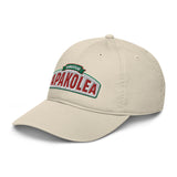 Better Recognize (DAD HAT)