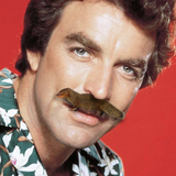 Hidden Stache